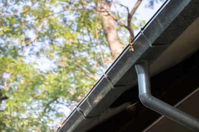 Specialized Gutter Repair Services